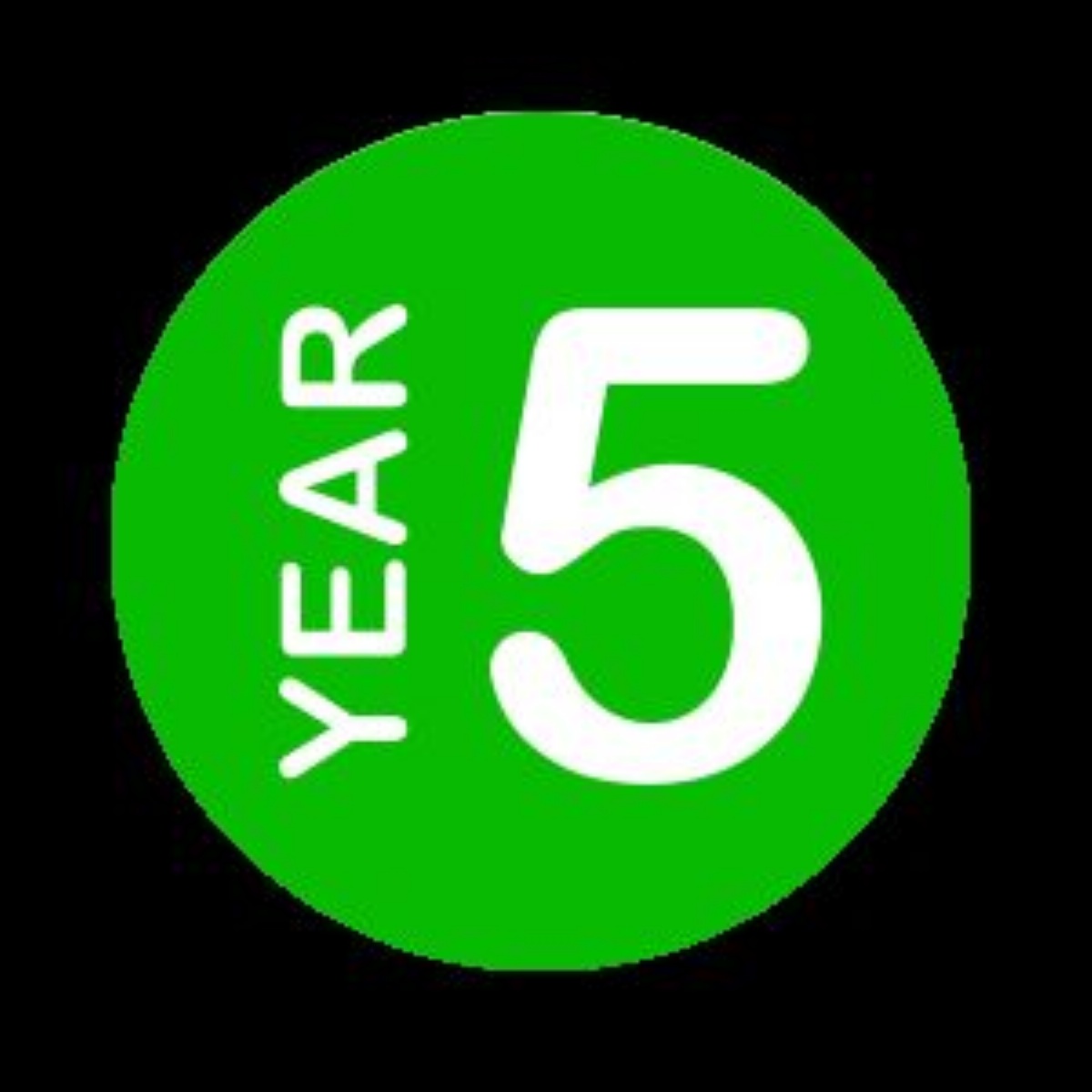 Crawley Ridge Junior School Year 5 News